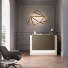 Receptiebalie Designline small - 146 x 88 cm